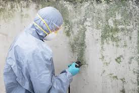 Best Commercial Mold Inspection  in USA